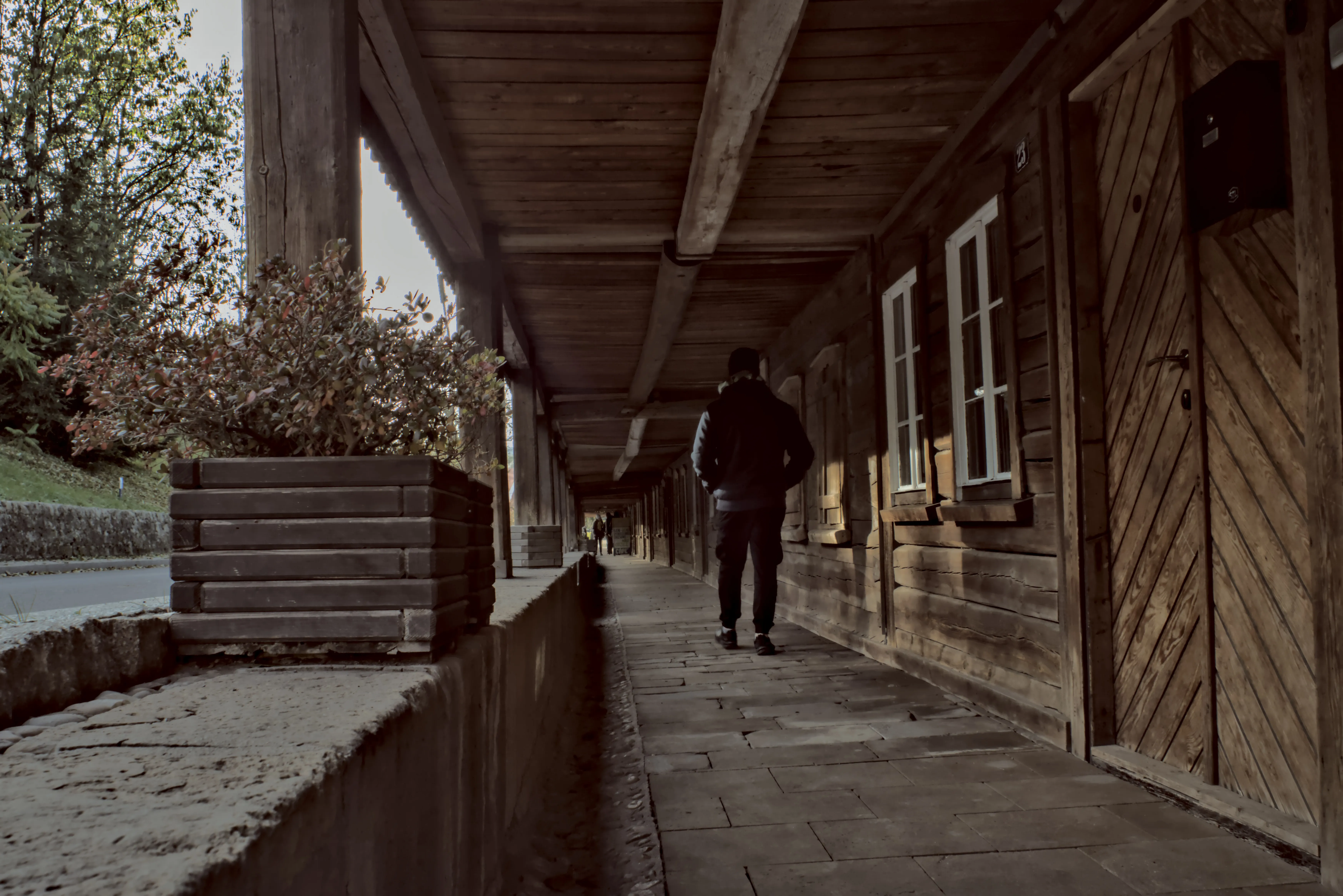 Carl Zeiss Flektogon 4 20 (m42) - _I4A9397.webp